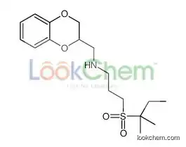 N-(2,3-dihydro-1,4-benzodioxin-3-ylmethyl)-3-(2-methylbutan-2-ylsulfonyl)propan-1-amine