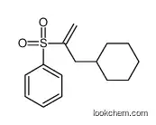 3-cyclohexylprop-1-en-2-ylsulfonylbenzene