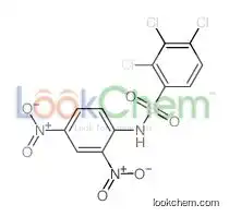 2,3,4-trichloro-N-(2,4-dinitrophenyl)benzenesulfonamide