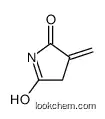3-methylidenepyrrolidine-2,5-dione