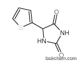 5-thiophen-2-ylimidazolidine-2,4-dione