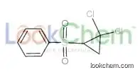 2,2-DICHLOROCYCLOPROPYL PHENYL SULFONE