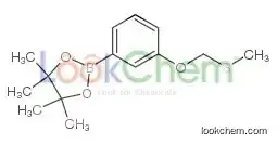 4,4,5,5-tetramethyl-2-[3-(methylsulfanylmethoxy)phenyl]-1,3,2-dioxaborolane