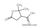 2,2-dimethyl-5-oxooxolane-3-carboxylic acid
