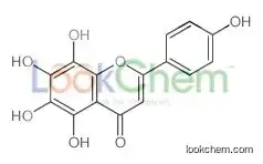 5,6,7,8-tetrahydroxy-2-(4-hydroxyphenyl)chromen-4-one