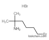 6-bromo-2-methylhexan-2-amine,hydrobromide