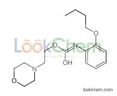 2-morpholin-4-ylethyl N-(2-butoxyphenyl)carbamate