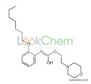 2-morpholin-4-ylethyl N-(2-heptoxyphenyl)carbamate