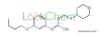 2-morpholin-4-ylethyl N-(3-butoxyphenyl)carbamate