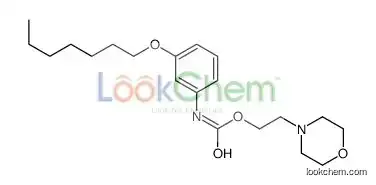 2-morpholin-4-ylethyl N-(3-heptoxyphenyl)carbamate