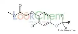 methyl 2-[2-chloro-4-(trifluoromethoxy)phenoxy]acetate