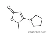 2-methyl-3-pyrrolidin-1-yl-2H-furan-5-one