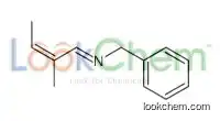 N-benzyl-2-methylbut-2-en-1-imine