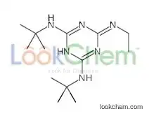 2-N,4-N-ditert-butyl-6-N-ethyl-1,3,5-triazine-2,4,6-triamine