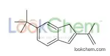 6-tert-butyl-2-prop-1-en-2-yl-1H-indene