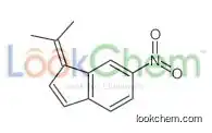 6-nitro-1-propan-2-ylideneindene