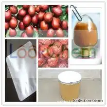 high qulity Jujube extract, with best price