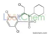 2-chloro-N-cyclohexyl-N-(2,5-dichlorophenyl)sulfonylacetamide
