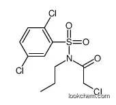 2-chloro-N-(2,5-dichlorophenyl)sulfonyl-N-propylacetamide