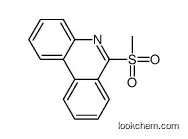6-methylsulfonylphenanthridine