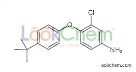 4-(4-tert-butylphenoxy)-3-chloroaniline