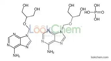 2-[(6-aminopurin-9-yl)methoxy]propane-1,3-diol,phosphoric acid