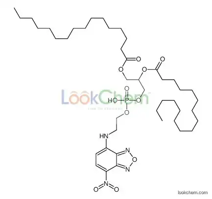 [2-hexadecanoyloxy-3-[hydroxy-[2-[(4-nitro-2,1,3-benzoxadiazol-7-yl)amino]ethoxy]phosphoryl]oxypropyl] hexadecanoate