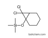 (7,7-dichloro-6-bicyclo[4.1.0]heptanyl)oxy-trimethylsilane