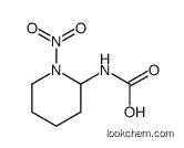 (1-nitropiperidin-2-yl)carbamic acid