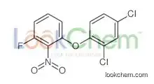 1-(2,4-dichlorophenoxy)-3-fluoro-2-nitrobenzene