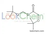 (2-methylpropan-2-yl)oxymethyl 2-[(2-methylpropan-2-yl)oxy]acetate