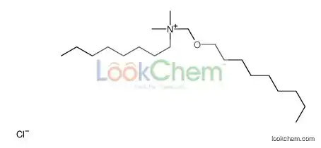 dimethyl-(nonoxymethyl)-octylazanium,chloride