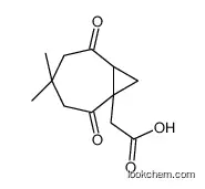 2-(4,4-dimethyl-2,6-dioxo-7-bicyclo[5.1.0]octanyl)acetic acid
