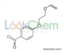 1-(2-ethenoxyethoxy)-4-nitrobenzene
