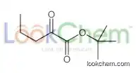 tert-butyl 2-oxopentanoate