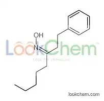 N-(1-phenyloctan-3-ylidene)hydroxylamine