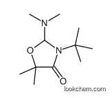 3-tert-butyl-2-(dimethylamino)-5,5-dimethyl-1,3-oxazolidin-4-one