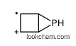 5-Phosphabicyclo[2.1.0]pent-2-en-5-ylium