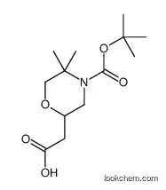 2-[5,5-dimethyl-4-[(2-methylpropan-2-yl)oxycarbonyl]morpholin-2-yl]acetic acid