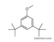 1,3-ditert-butyl-5-methoxybenzene