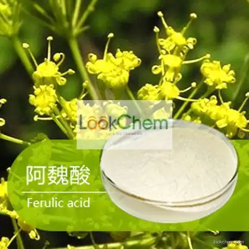 High Quality Nature Ferulic Acid CAS NO.1135-24-6
