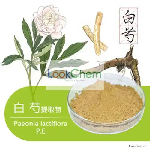 High quality Paeonia lactiflora P.E. CAS NO.23180-57-6
