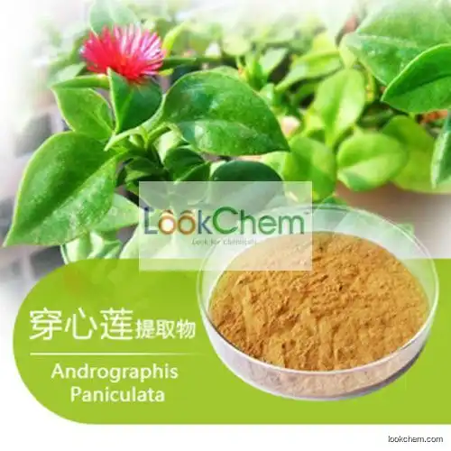 Andrographis extract CAS NO.5508-58-7