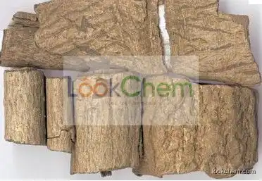 Chlorogenic acid, eucommia ulmoides bark P.E.