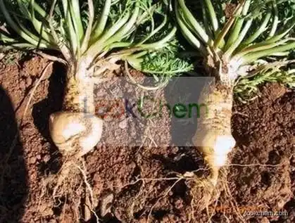 Maca extract
