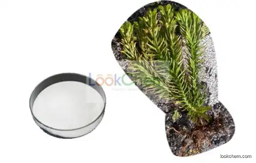 Huperzine Serrate Extract