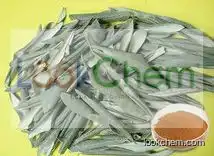 Olive leaf extract