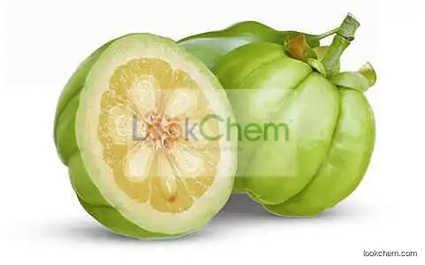 Garcinia Cambogia Extract