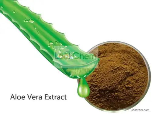 Aloe Vera extract