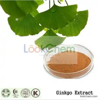 Ginkgo Biloba Extract P.E. CAS NO.90045-36-6